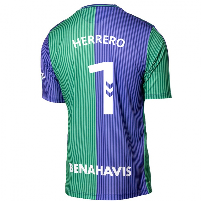 Hombre Camiseta Alfonso Herrero #1 Verde Azul 2ª Equipación 2023/24 La Camisa