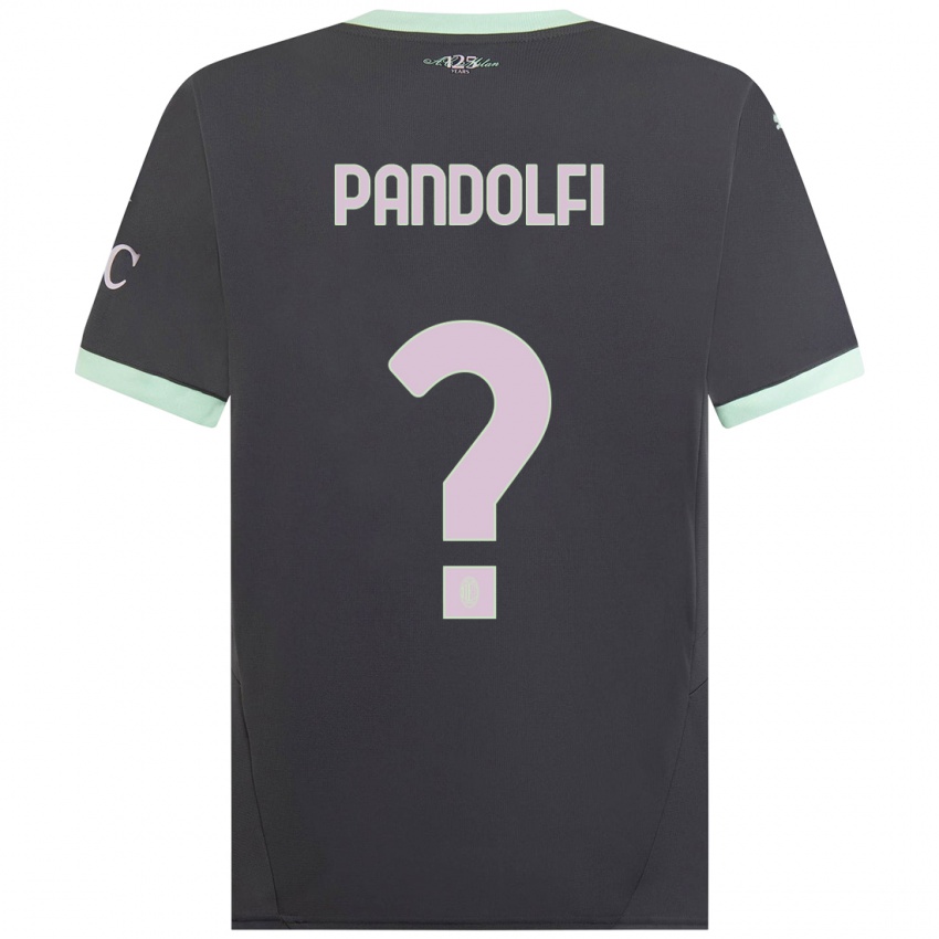 Niño Camiseta Fabio Pandolfi #0 Gris Equipación Tercera 2024/25 La Camisa