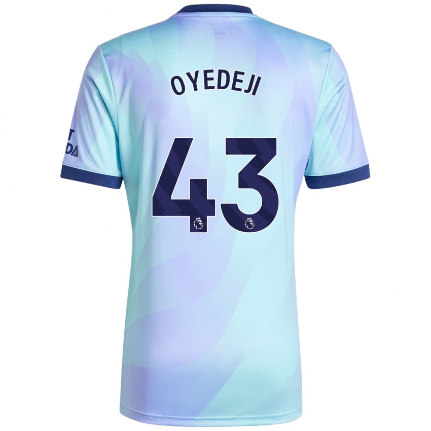 Hombre Camiseta Nathan Butler Oyedeji #43 Agua Equipación Tercera 2024/25 La Camisa