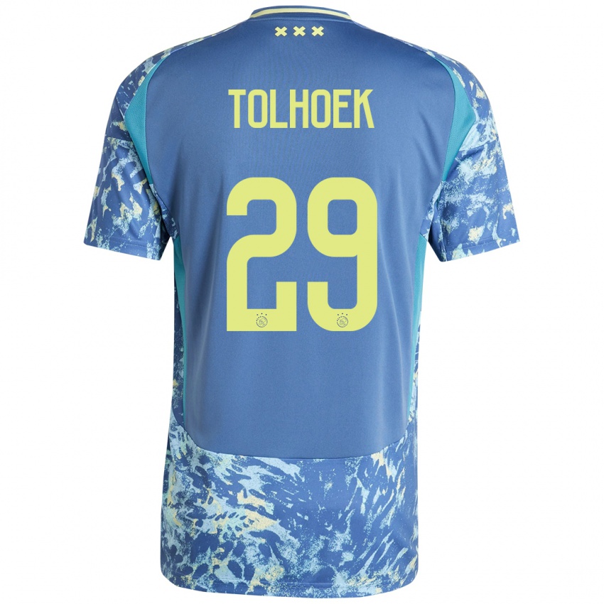 Niño Camiseta Danique Tolhoek #29 Gris Azul Amarillo 2ª Equipación 2024/25 La Camisa