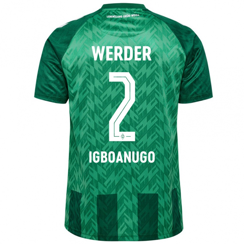 Hombre Camiseta David Igboanugo #2 Verde 1ª Equipación 2024/25 La Camisa